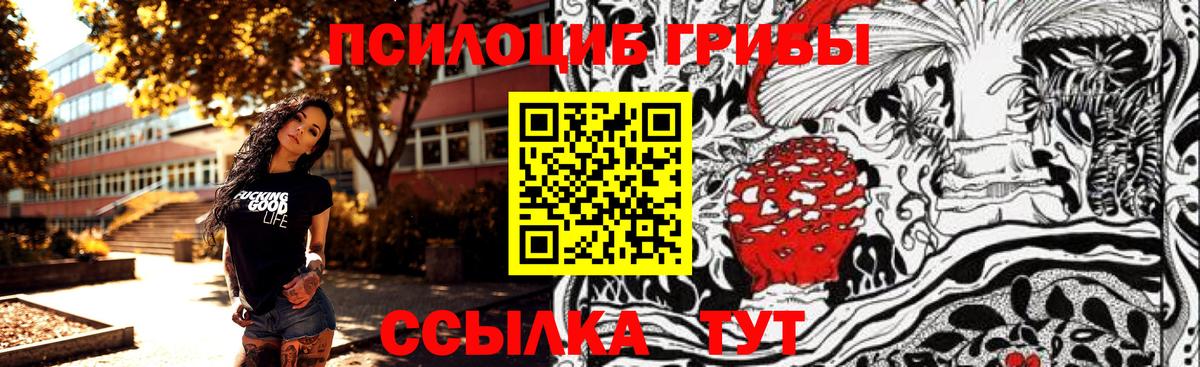 Галлюциногенные грибы мухоморы Шебекино